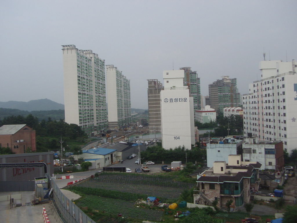 태영복사 이미지