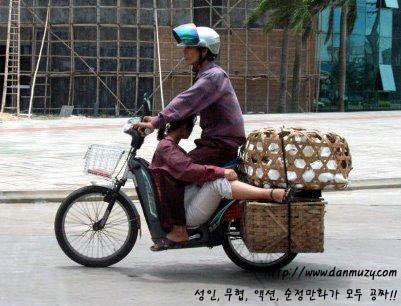 응 이미지