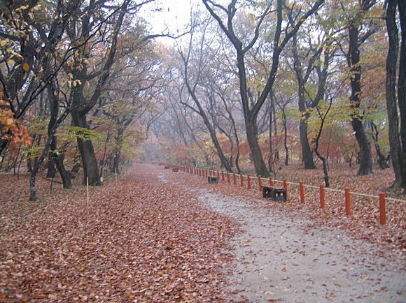 유정家 이미지