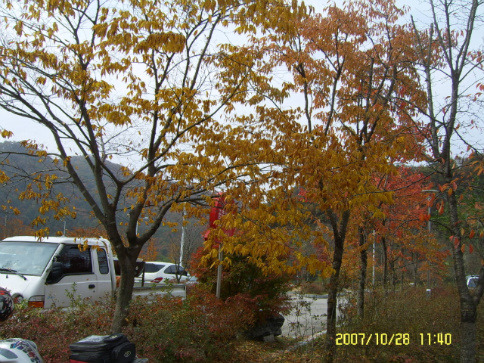 유명메이커할인매장 이미지