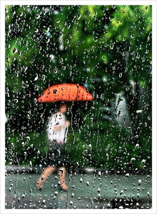 우산속 이미지