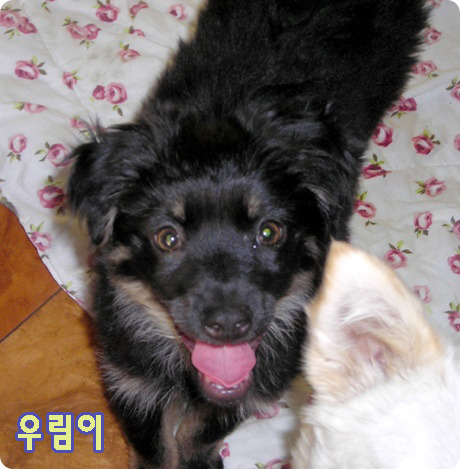 덩어리 이미지