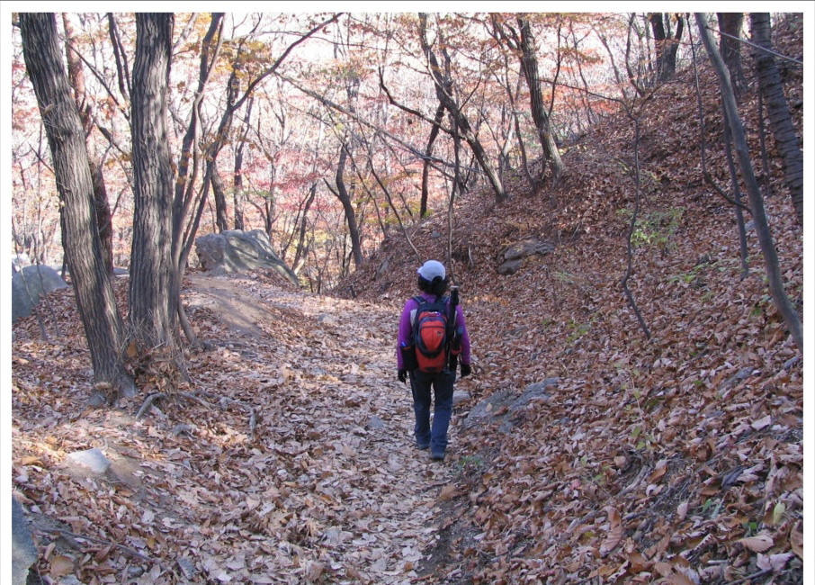 �̹����� Ŭ���ϸ� ������ ���� �� �ֽ��ϴ�.