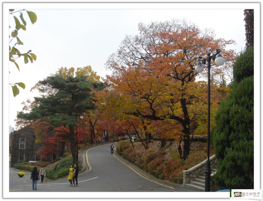 �̹����� Ŭ���ϸ� ������ ���� �� �ֽ��ϴ�.