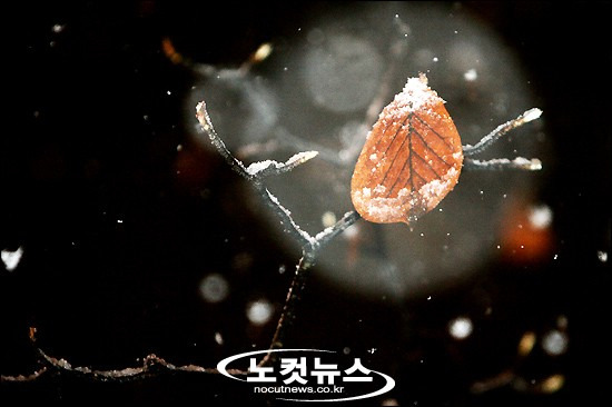 구암이용원 이미지