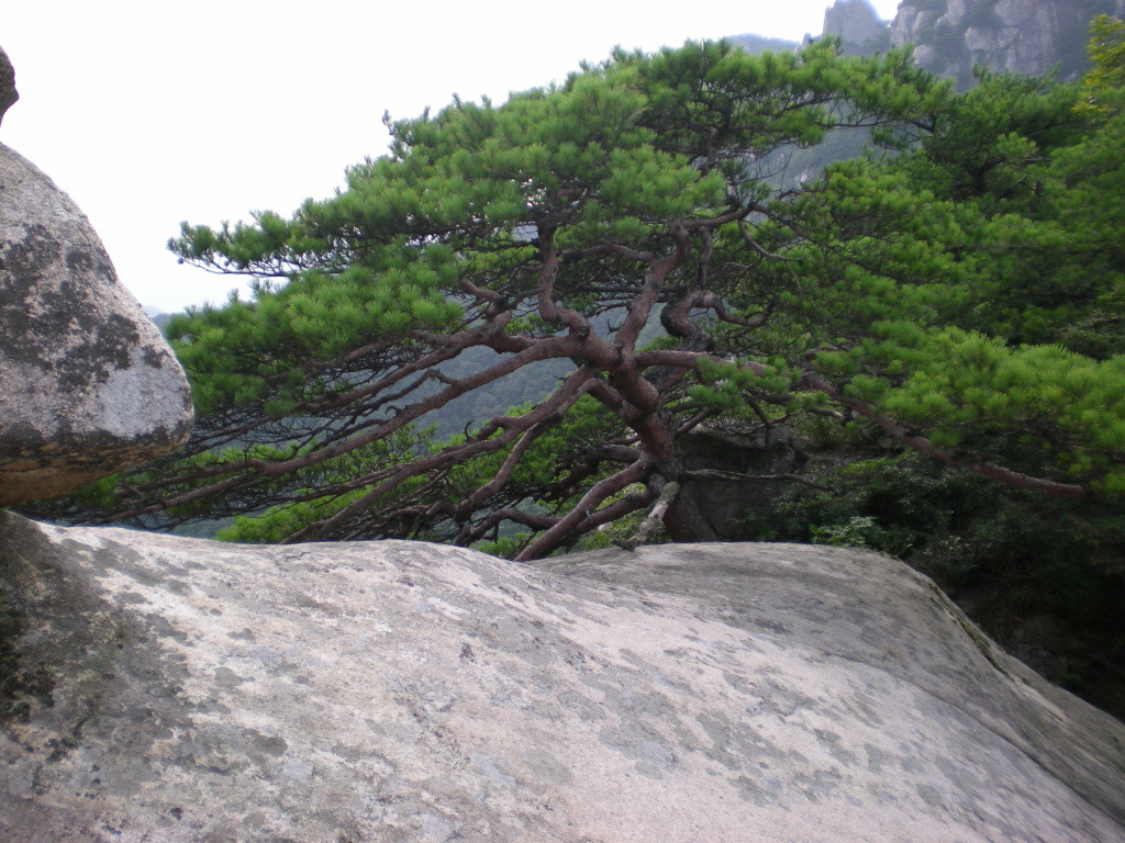 마귀할멈바위 이미지