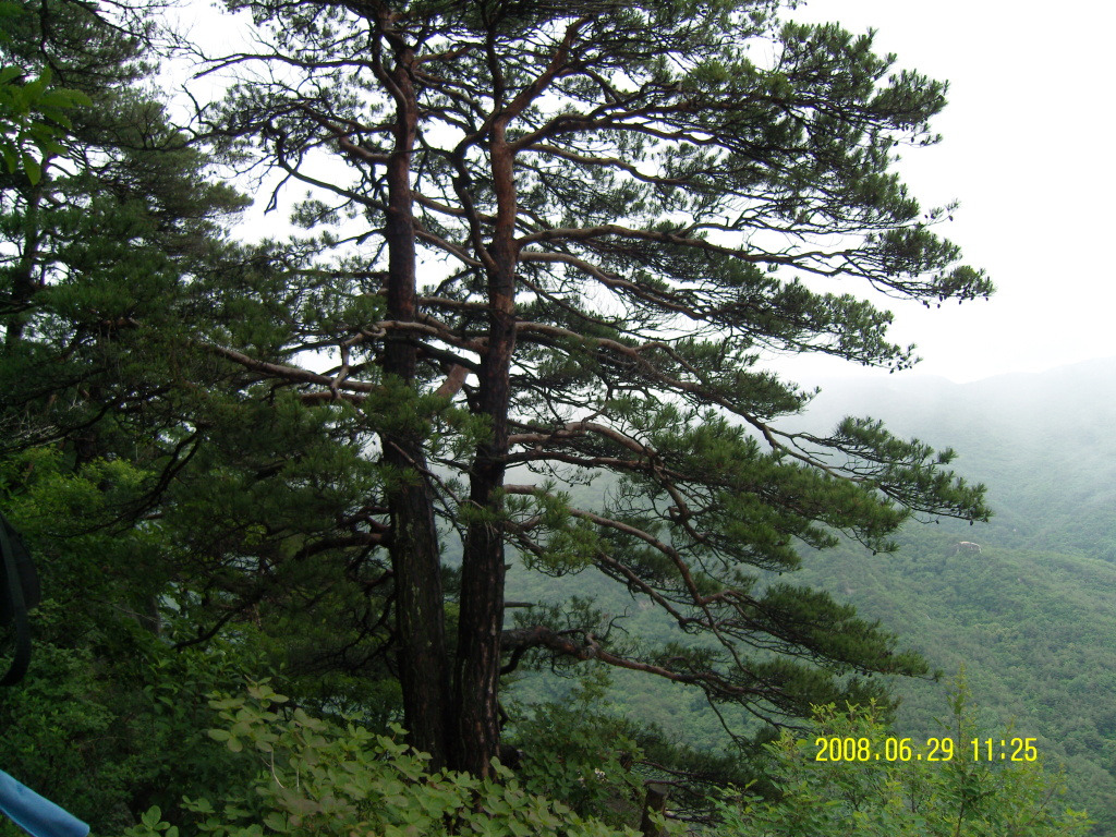 �̹����� Ŭ���ϸ� ������ ���� �� �ֽ��ϴ�.