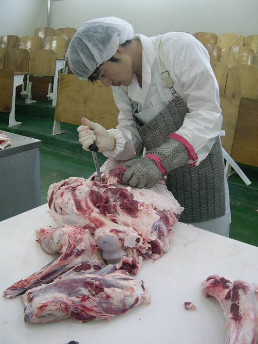 식객 이미지